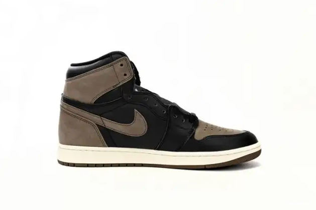 Cheap OG Jordan Air 1 High DZ5485-020 Palomino 0507